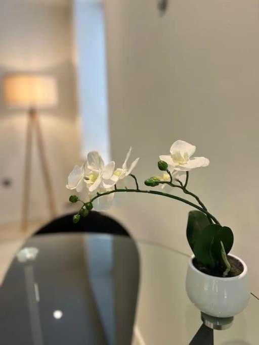 Soho Fantastic Apartamento *